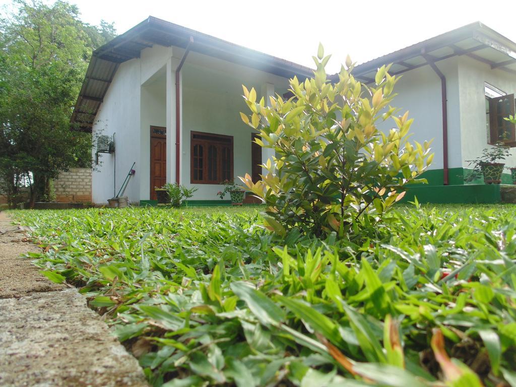 White Eagle Hotel Sigiriya Esterno foto